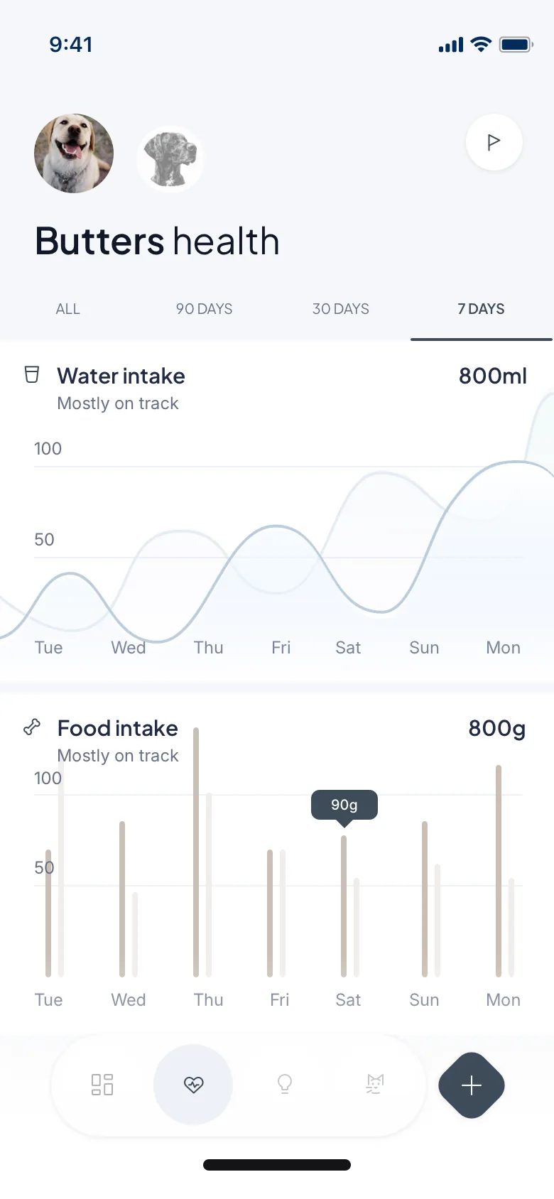 Application DojoPet — écosystème
