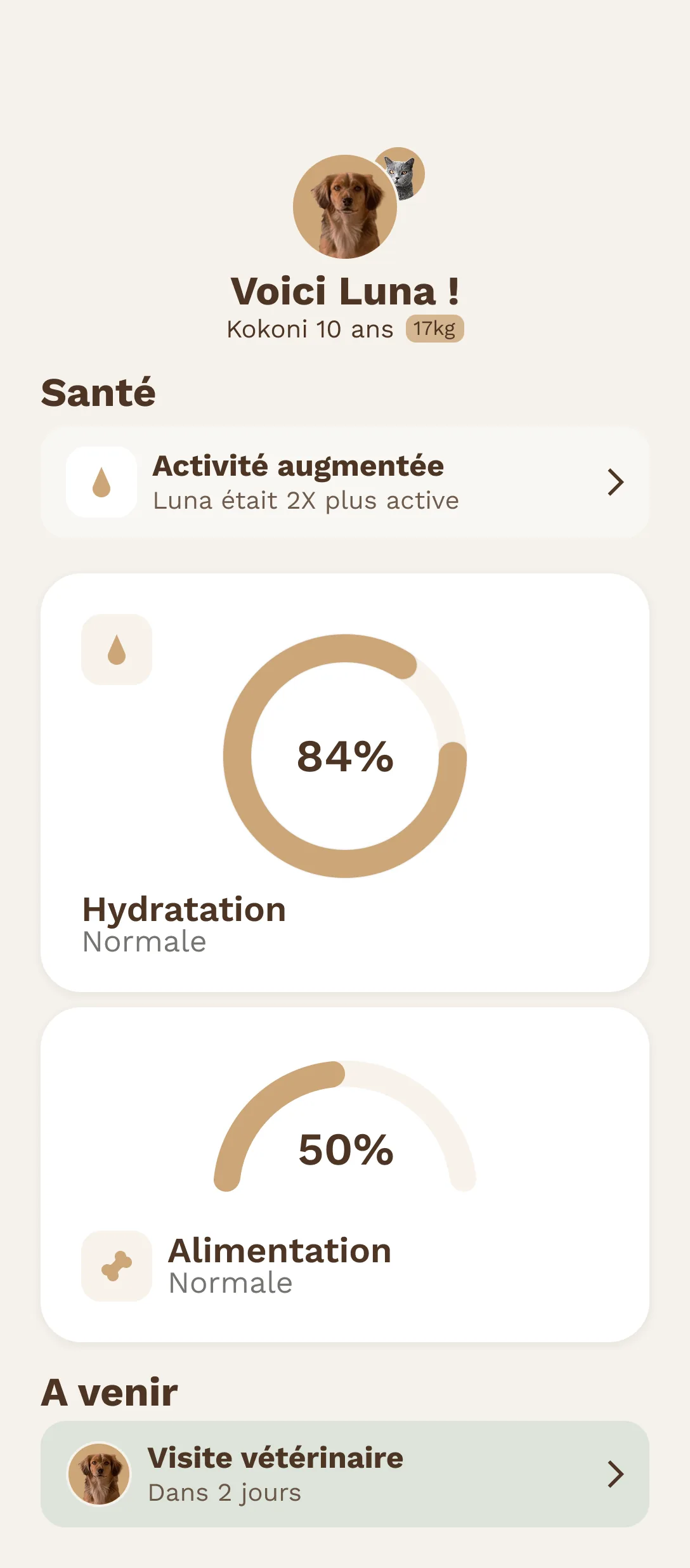 Interface santé DojoPet
