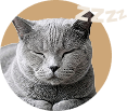Profil de chat DojoPet